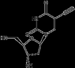 Apexbio Technology LLC 5-Ethynyl-2'-deoxyuridine (5-EdU), 1g CAS# 61135-33-9