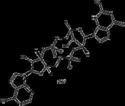 Apexbio Technology LLC 2'3'-cGAMP (sodium salt), 1mg CAS# 1441190-66-4,