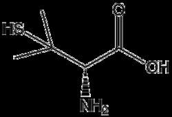 Apexbio Technology LLC D-Penicillamine, 100mg CAS# 52-67-5, Quantity: Each