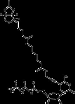 Apexbio Technology LLC BIOTIN-11-CTP 50UL 1 mM, Quantity: Pack of 1