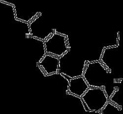 Apexbio Technology LLC DIBUTYRYL-CAMP SODI. SALT 50MG, Quantity: Pack of