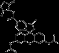 Apexbio Technology LLC&nbsp;CFDA-SE(Synonyms: CFSE, Carboxyfluorescein succinimidyl ester, 5-(and-6)-Carboxyfluorescein diacetate succinimidyl ester), 10mg, CAS: 150347-59-4.