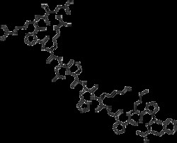 Apexbio Technology LLC APELIN-13 1MG, Quantity: Pack of 1
