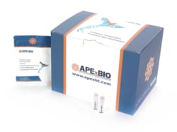 Apexbio Technology LLC Prestained Protein Marker (Tripple color, EDTA free, 10-250 kDa), 250ul