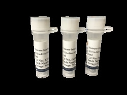 Apexbio Technology LLC&nbsp;Phosphatase Inhibitor Cocktail (2 Tubes, 100X), 1ml A + 1ml B