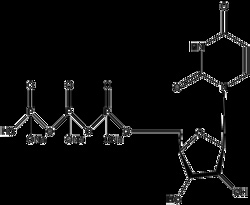 Apexbio Technology LLC&nbsp;UTP Solution (100 mM) 250uL