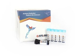 Apexbio Technology LLC EdU Imaging Kits (Cy5), 50-500 tests. EdU Imaging
