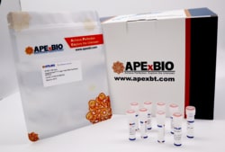 Apexbio Technology LLC&nbsp;T7 H.Y RNA SYNTHESIS KIT 50R