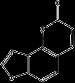 Apexbio Technology LLC&nbsp;Angelicin,20mgCAS# 523-50-2