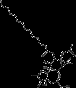 Apexbio Technology LLC 12-O-tetradecanoyl phorbol-13-acetate (PMA),5mgCAS# 16561-29-8