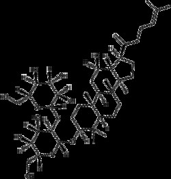 Apexbio Technology LLC GINSENOSIDE RK1 20MG, Quantity: Pack of 1