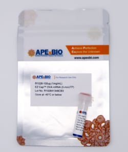 Apexbio Technology LLC EZ CAP OVA MRNA 5-MOUTP 100UG