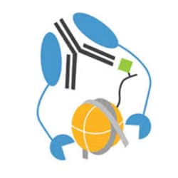 EPICYPHER INC&nbsp;CUTANA&trade; Concanavalin A Conjugated Paramagnetic Beads | 50uL - 50rxns