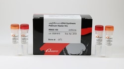 GenDEPOT OLIGO DT/RANDOM HEXAM,2X50RXNS, Quantity: Pack of 2