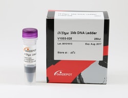 GenDEPOT IVDYE 1KB DNA LADDER, 250UL