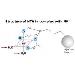 Anatrace Super Nickel NTA Affinity Resin, 25 mL, Quantity: Each of 1