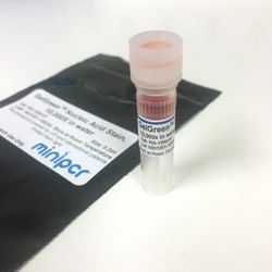 AMPLYUS LLC GelGreen Nucleic Acid Gel Stain, 10,000X in Water, 200 µl