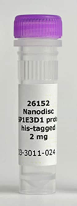 CUBE BIOTECH MSP1E3D1-His, human; 2mg, Quantity: Each of 1