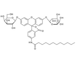SETAREH BIOTECH LLC C12FDG; 5-Dodecanoylaminofluorescein di-b-D-galactopyranoside