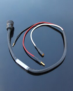 EZKEM Cable Amperometric Detector for the FS3700, Quantity: Each of 1