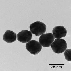 Nanocomposix NanoXact Silver Nanospheres - PVP (Dried) - 75 nm, 1 mg (by