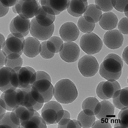 Nanocomposix NanoXact Mesoporous Silica Nanospheres - Aminated (Dried)
