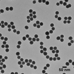 Nanocomposix&nbsp;NanoXact Silica Nanospheres - Aminated - 50 nm, 10 mg/mL in ethanol, 25 mL