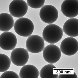 Nanocomposix NanoXact Silica Nanospheres - 300 nm, 10 mg/mL in water, 25