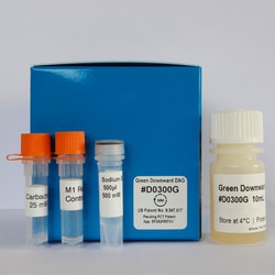 Montana Molecular Green Downward DAG Sensor Kit D0300G, 10mL, CMV, Quantity: