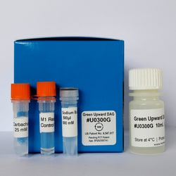 Montana Molecular Green Upward DAG Sensor Kit U0300G, 60mL, CMV