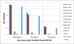 REVMAB BIOSCIENCES USA INC&nbsp;IgG1 Rabbit Anti-Mouse Monoclonal Antibody [RM106]