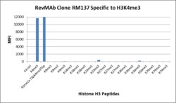 REVMAB BIOSCIENCES USA INC Trimethyl-Histone H3 (Lys4) [RM137], Rabbit