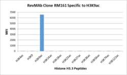 REVMAB BIOSCIENCES USA INC Acetyl-Histone H3 (Lys9) [RM161], Rabbit Monoclonal