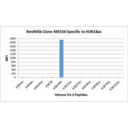 REVMAB BIOSCIENCES USA INC Acetyl-Histone H3 (Lys18) [RM166], Rabbit Monoclonal