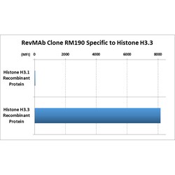 REVMAB BIOSCIENCES USA INC Histone H3.3 [RM190], Rabbit Monoclonal Antibody,