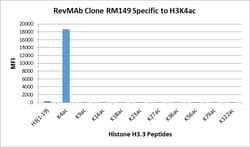 REVMAB BIOSCIENCES USA INC Acetyl-Histone H3 (Lys4) [RM149], Rabbit Monoclonal
