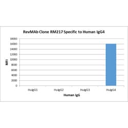 REVMAB BIOSCIENCES USA INC IgG4 Fc Rabbit Anti-Human Monoclonal Antibody