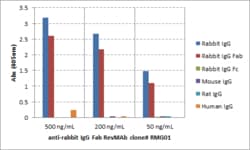 REVMAB BIOSCIENCES USA INC IgG Fab Goat Anti-Rabbit Monoclonal Antibody
