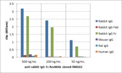 REVMAB BIOSCIENCES USA INC Biotin IgG Fc Goat Anti-Rabbit Monoclonal Antibody