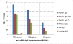 REVMAB BIOSCIENCES USA INC IgG Goat Anti-Rabbit Monoclonal Antibody [RMG03],