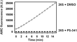 Ubpbio PS-341 (BORTEZOMIB), 5MG, Quantity: Each of 1