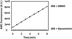 Ubpbio Epoxomicin, 1MG, Quantity: Each of 1