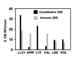 Ubpbio SUC-LLVY-AMC, 25MG, Quantity: Each of 1