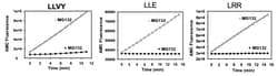 Ubpbio Proteasome Activity Fluorometric Assay Kit II, Quantity: Each of