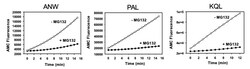 Ubpbio Immunoproteasome Activity Fluorometric Assay Kit II, Quantity: Each