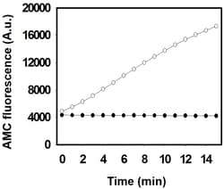 Ubpbio&nbsp;Ub-AMC, 50UG
