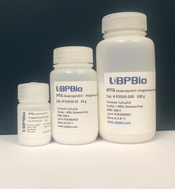 Ubpbio IPTG, 10G, Quantity: Each of 1
