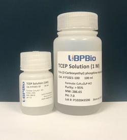 Ubpbio TCEP SOLUTION (1M), 10ML, Quantity: Each of 1