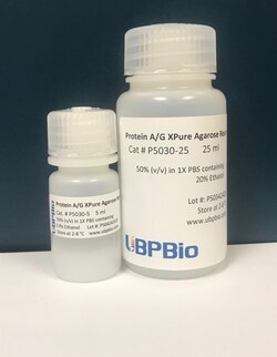 Ubpbio PROTEIN A/G AGAROSE, 5ML
