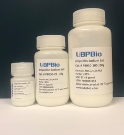 Ubpbio&nbsp;Ampicillin Sodium Salt, 25G